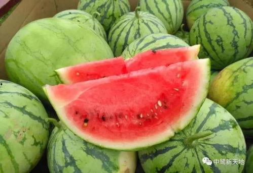 今日吃瓜51,揭秘娱乐圈最新热点事件